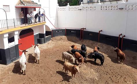 Sevilla Taurina On Twitter Noticias Nueve Toros Aprobados De