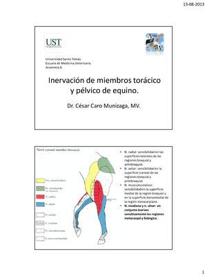 Cirugia Guia Instrumentos Para Cirug A Oral B Sica Empezamos A Ver