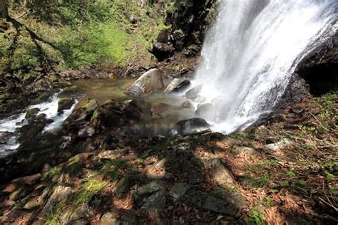 Imagen Gratis Naturaleza Agua Paisaje R O Arroyo Cascada Madera