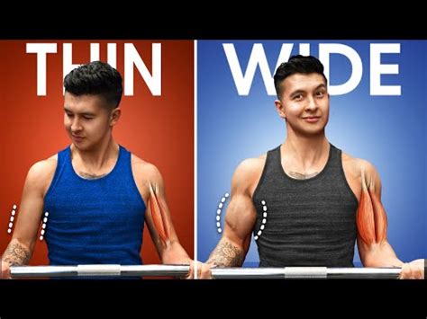 how to get wider biceps