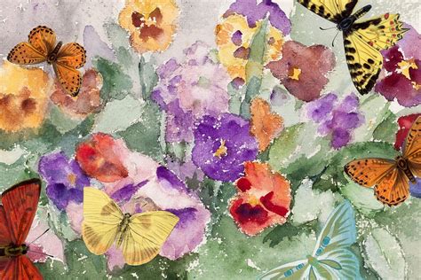 Watercolor Butterflies And Flowers Remixed Premium Photo