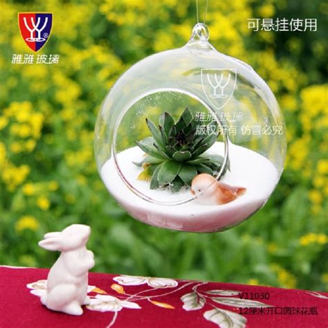 O Roselif Marka Szklana Wisz Ca Wazon Terrarium Ball Globe Kszta T