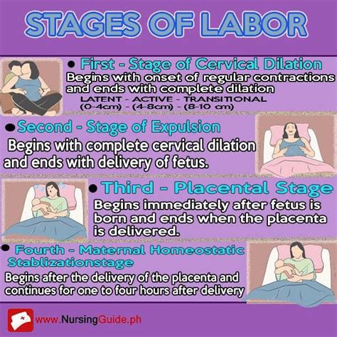 Stages of Labor