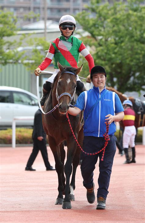 1番人気キングズソード鼻差v 川田騎手「勝ち切れたのは気持ちの強さ」／三宮s 競馬写真ニュース 日刊スポーツ