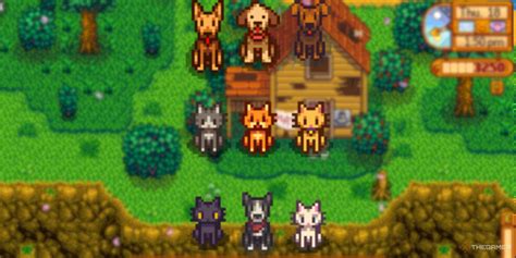 The Best Pets In Stardew Valley