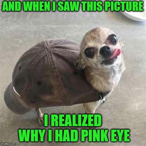 Pink Eye Meme