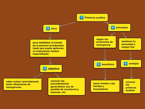 Primeros Auxilios Mind Map