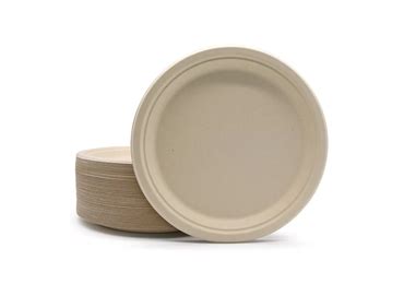 Explore the Types of Bagasse Plates