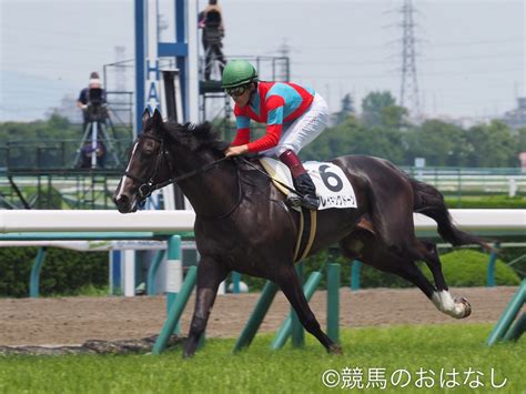 【阪神5r2歳新馬】ブレイキングドーンが3馬身差でデビュー戦を楽勝！ 競馬ニュースなら競馬のおはなし