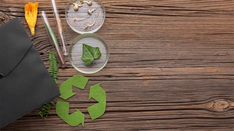 Eco Recycling Zdj Cia Darmowe Pobieranie Na Freepik