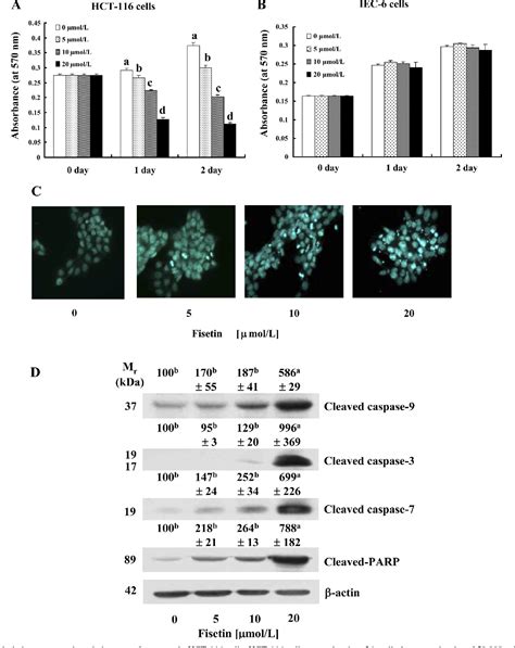 Figure From Induction Of P Contributes To Apoptosis Of Hct