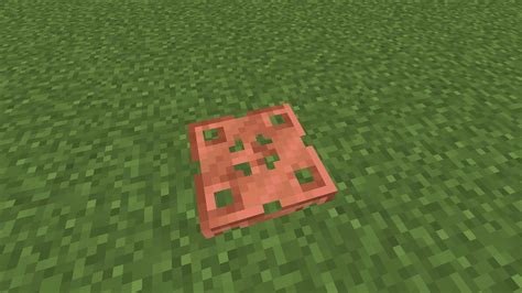 I made a copper trapdoor texture for iron trapdoor . Your thoughts : r ...