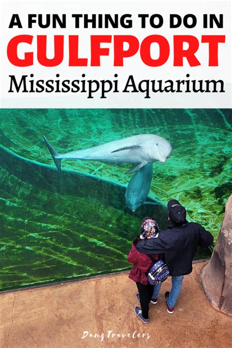 Mississippi Aquarium: Ticket Prices, Hours and Things to Know – Dang ...