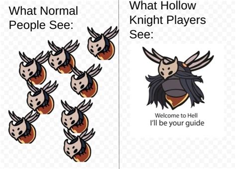 10 Hilarious Funniest Hollow Knight Memes Fan Jokes