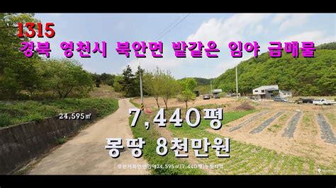 번호 1315 경북 영천시 북안면 밭같은 임야 급매물 Youtube