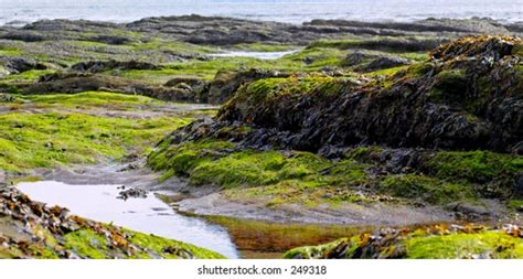 46 Carnoustie Beach Images, Stock Photos & Vectors | Shutterstock