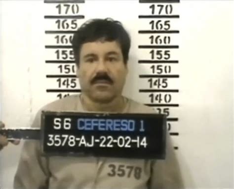 Joaquín Guzmán Loera El Chapo En Imagenes José Cárdenas