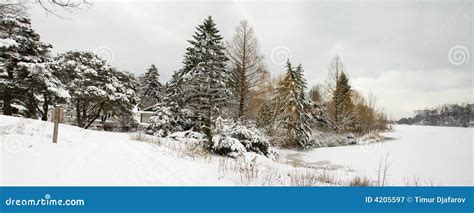 Winter Lake Shore View With Naked Snow Trees Stock Image Image Of Toronto Rhythm 4205597
