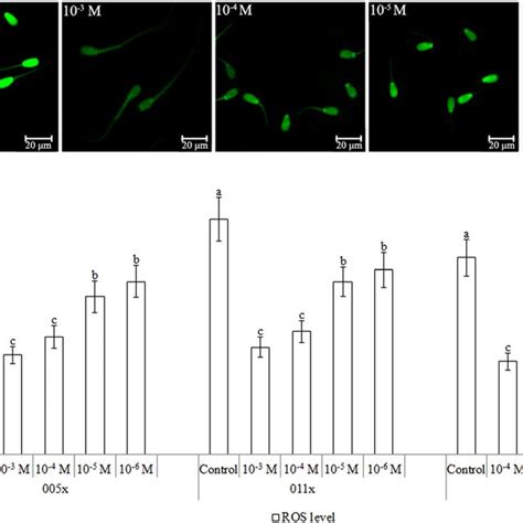 Effect Of Res On Ros Levels In Sex Sorted Bull Sperm A Download