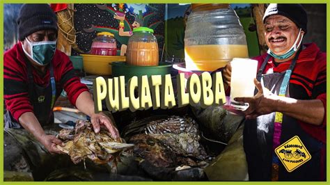 Pulques Y Barbacoa En Pulcata La Loba YouTube