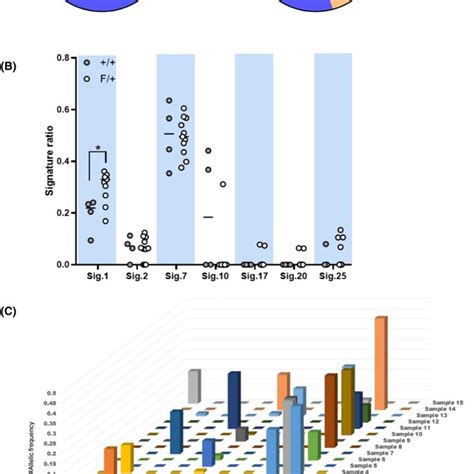 Tumorigenicity In Nude Mice And In Vitro Growth Of Melanoma Cells