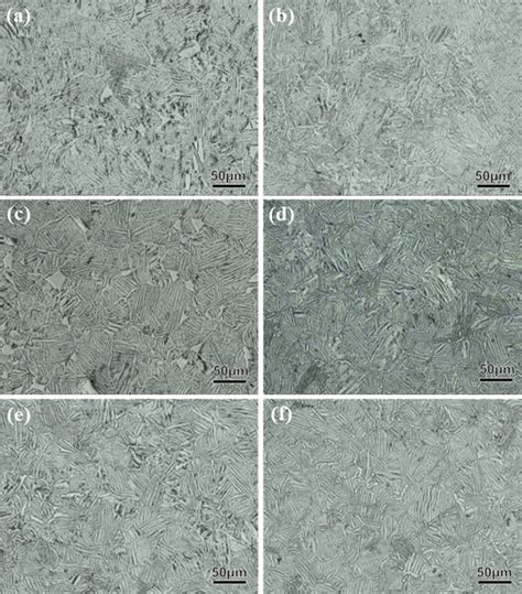 Typical Microstructure Of Ti O Alloy Quenched From The Temperature Download Scientific Diagram