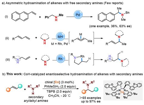 Angew Chem：钴催化芳基烯烃与仲胺的高对映选择性氢胺化反应 X Mol资讯