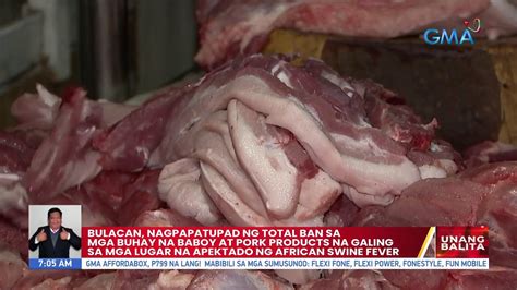 Bulacan Nagpapatupad Ng Total Ban Sa Mga Buhay Na Baboy At Pork