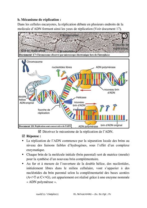 Notion de linformation génétique Cours 3 AlloSchool