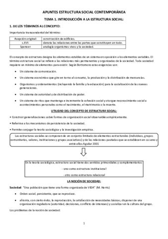 Apuntes Estructura Social Contemporanea Pdf