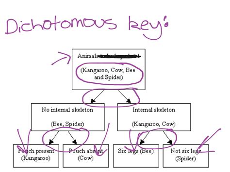 Dichotomous Key Science Showme