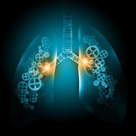 Human Lungs Stock Photos Royalty Free Human Lungs Images Depositphotos