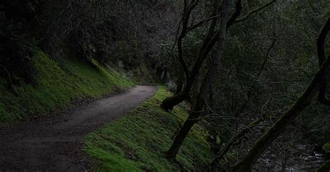 Alum Rock Park San Jose California Imgur