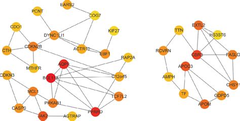 Hub Gene Network The Figure Contains The First Gene With The