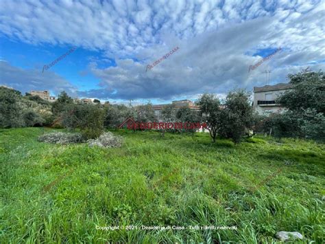 Terreno Agricolo Strada Comunale Ranteria Bagheria Rif