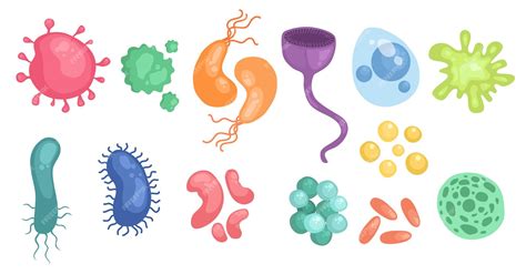 Desenhos De Fungos E Bactérias - Conjunto colorido de bactérias e germes, microorganismos objetos ...