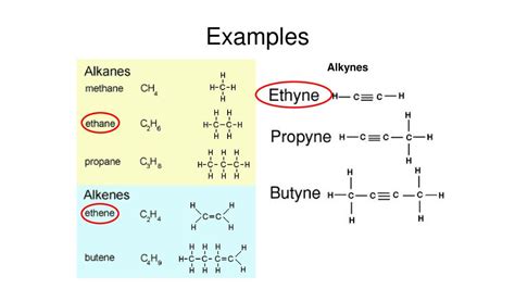 Carbon Compounds And Biomolecules Most Of The Compounds That Make Up