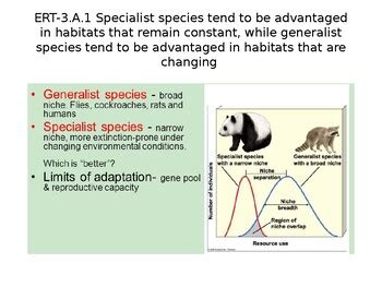 Ap Enviro Generalist Specialist R And K Selected Species Tpt