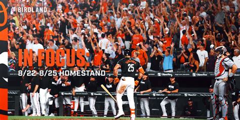 Birdland Insider In Focus Homestand Baltimore Orioles