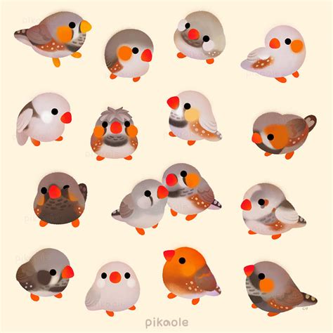 Zebra Finch By Pikaole On Deviantart