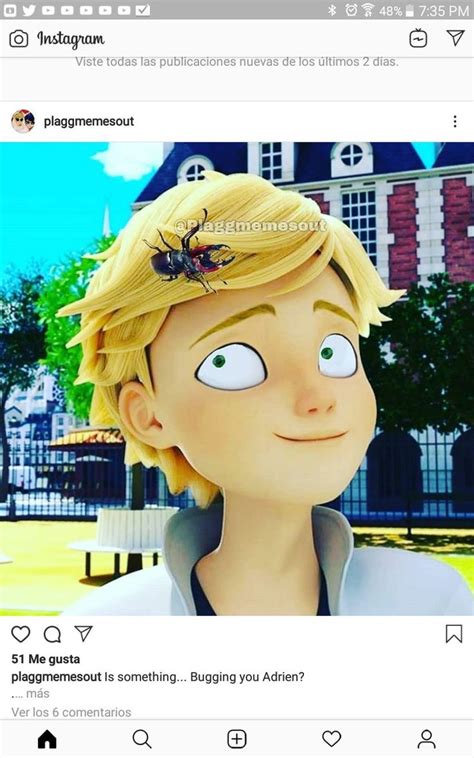 Miraculous Ladybug Meme Faces : Freaking Miraculous Memes My Dude! 📳 | Garnrisnet