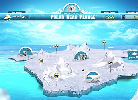 San Diego Zoo: Polar Bear Plunge | Communication Arts