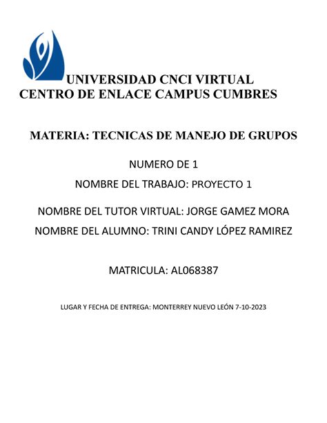 Tecnicas DE Manejo DE Grupo Trini López UNIVERSIDAD CNCI VIRTUAL