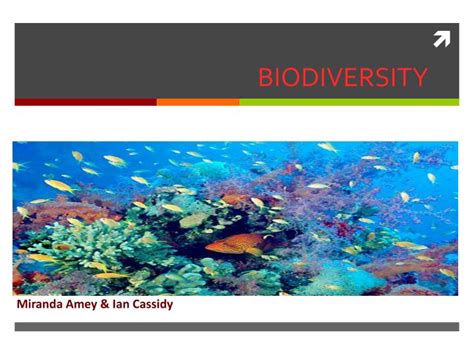 PPT - BIODIVERSITY PowerPoint Presentation, free download - ID:2470759