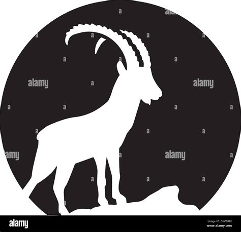 Steinbock Silhouette In Fron Des Mondes Stock Vektorgrafik Alamy