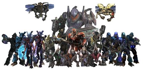 Halo Races | Thedemonapostle's RPG Collections Wiki | Fandom