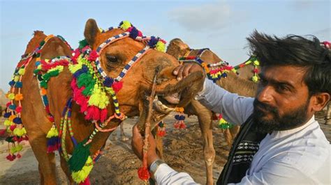 Eid Ul Adha When Will Bakrid Be Celebrated In India Know Date