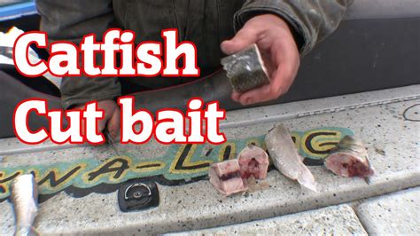 How To Cut Skip Jack For Catfish Bait YouTube