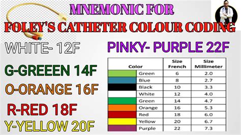 Iv Catheter Size Chart