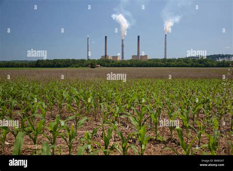 The Ghent Generating Station A Coal Fired Power Plant On The Ohio